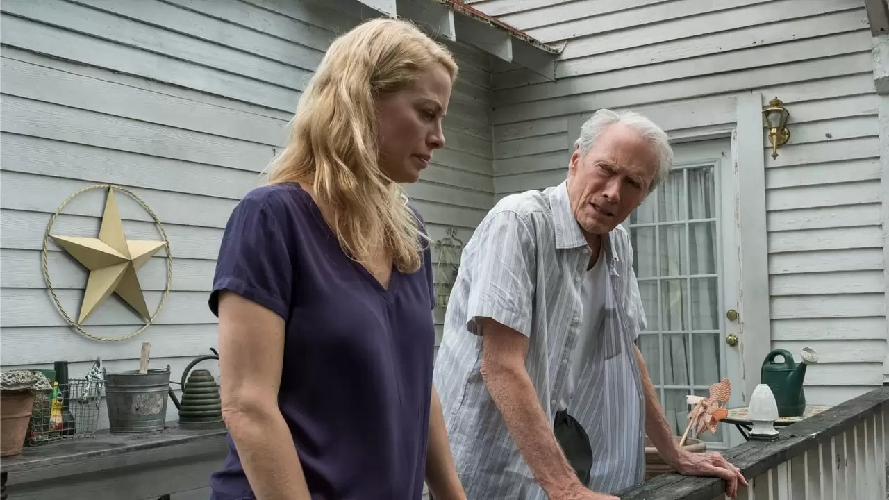  Backdrop