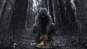 Sam Larson Cover Image