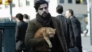 Alex Karpovsky Cover Image