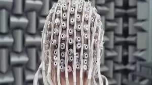 Jurga Jutaite Cover Image