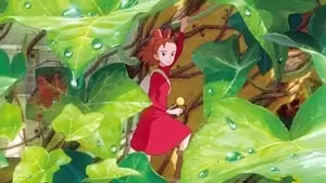 Shinobu Ôtake Cover Image