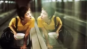 Brigitte Lin Cover Image