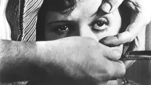 Luis Buñuel Cover Image