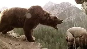 Youk the Bear Cover Image