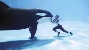 Tilikum Cover Image