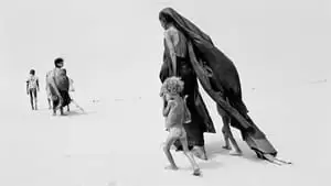 Juliano Ribeiro Salgado Cover Image