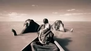 Gregory Colbert Cover Image