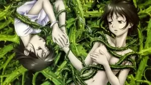 Kazuyoshi Katayama Cover Image