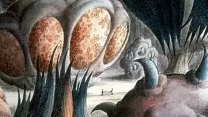 Jennifer Drake Cover Image