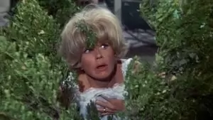 Christine Nelson Cover Image