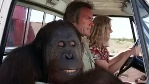 C.J. the Orangutan Cover Image