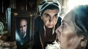 Mirza Metin Cover Image