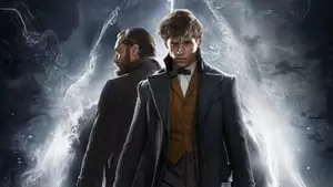Olwen Fouéré Cover Image