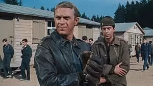 Steve McQueen Cover Image