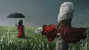 Kang-gook Son Cover Image