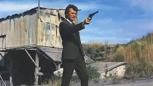 Don Siegel Cover Image