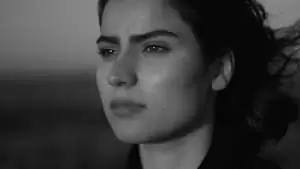 Babak Jalali Cover Image