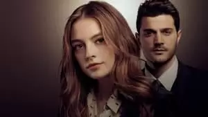 Metin Balekoglu Cover Image