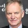 Sting  