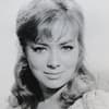 Beth Rogan