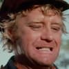 Don Knight