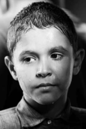 Petr Kotlár Image