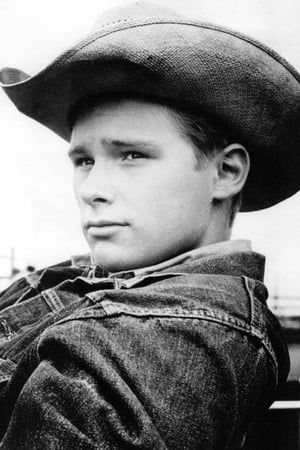 Brandon De Wilde Image
