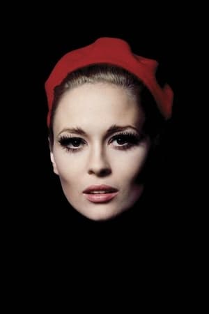 Faye Dunaway Image