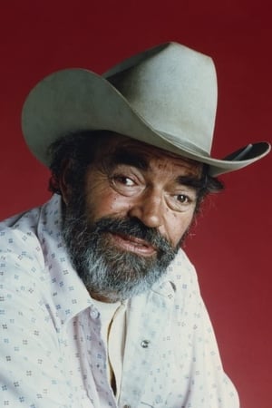 Jack Elam Image