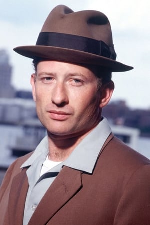 Max Perlich Image