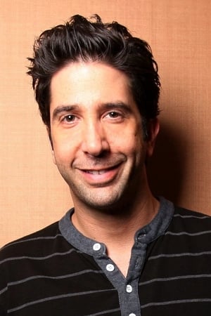 David Schwimmer Image