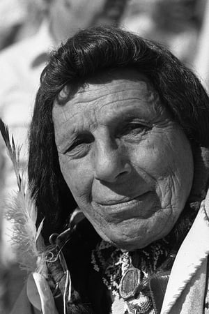 Iron Eyes Cody Image