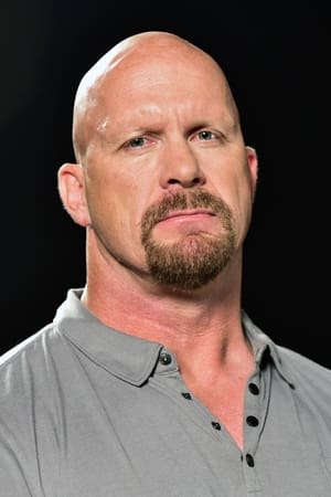 Steve Austin Image