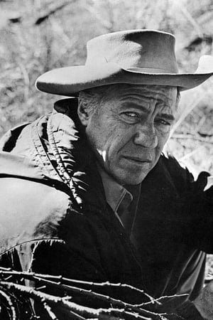 Robert Bray Image