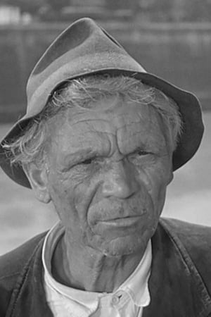 Giulio Chiari Image