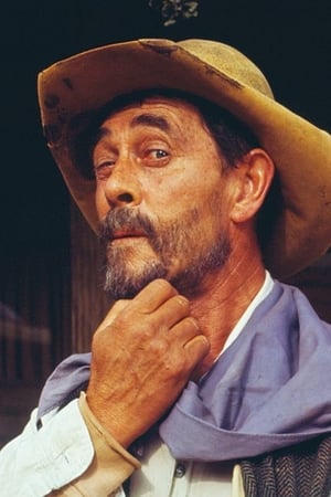 Ken Curtis Image