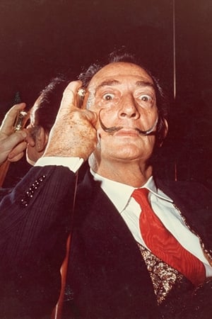 Salvador Dalí Image