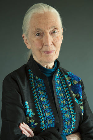 Jane Goodall Image