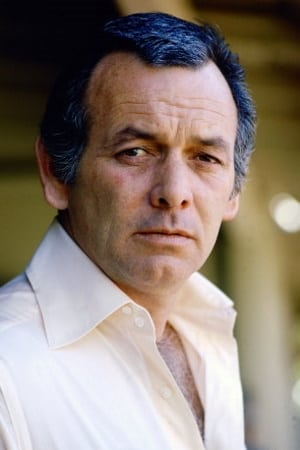 David Janssen Image