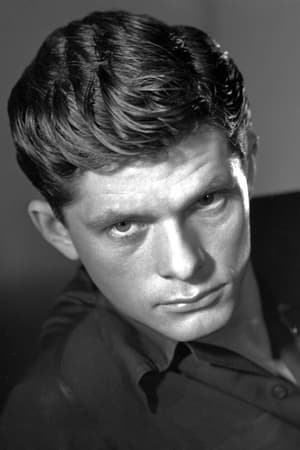 Dewey Martin Image