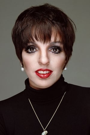 Liza Minnelli Image