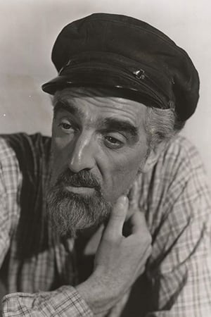 Noel Purcell Image