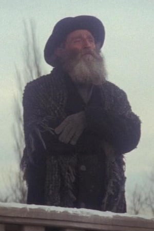 Zvee Scooler Image