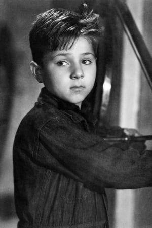Enzo Staiola Image