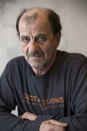 Miklós Székely B. Image