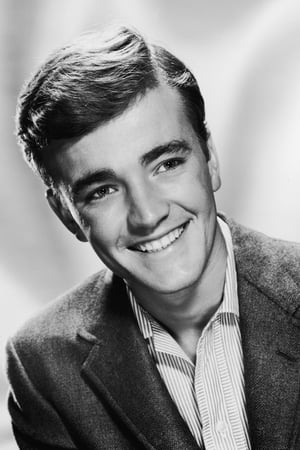 Robert Walker Jr. Image