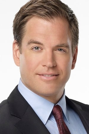 Michael Weatherly Image