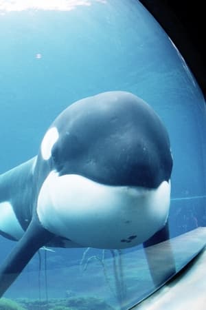 Keiko Image