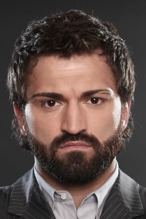 Andrei Arlovski Image