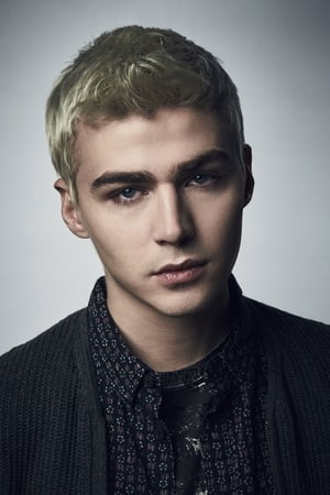 Miles Heizer Image